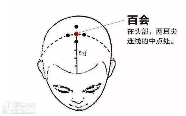 百會(huì)穴—能降血壓