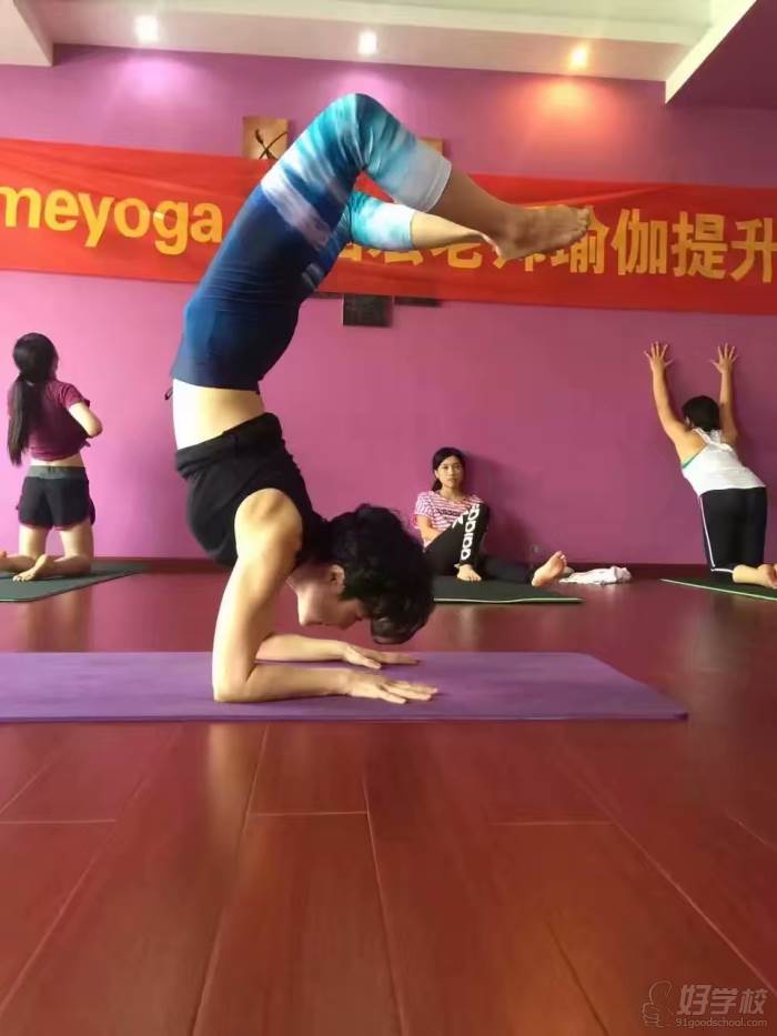 杭州宏瑜伽教练培训中心  倒立式训练