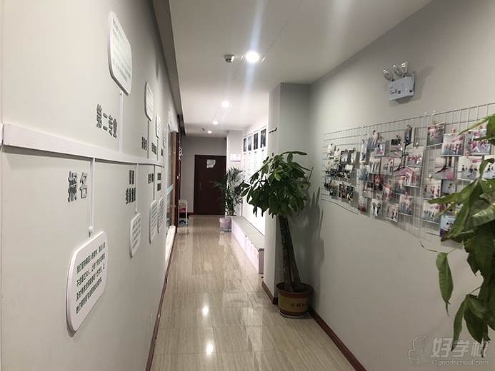 郑州青藤艺考培训中心  走廊展示