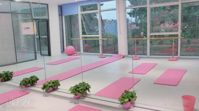 杭州核桃艺考培训中心  教学环境 舞蹈教室
