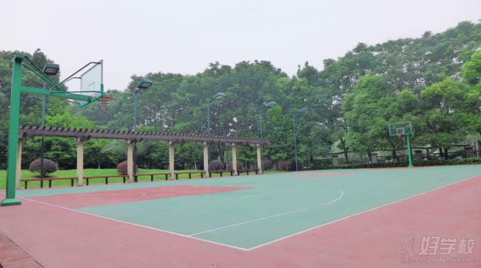 杭州核桃艺考培训中心  教学环境 休闲篮球运动场