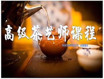 寧波高級茶藝師培訓課程