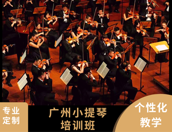 广州小提琴专业培训班