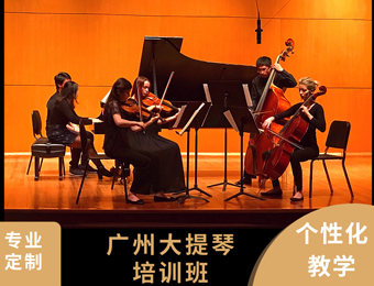广州大提琴培训班