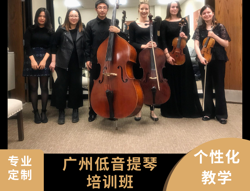 广州低音提琴培训班