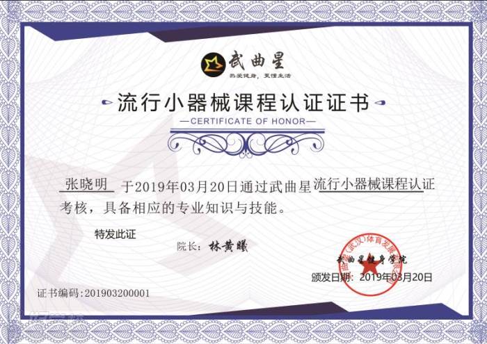 武汉武曲星健身培训学院  流行小器械课程认证