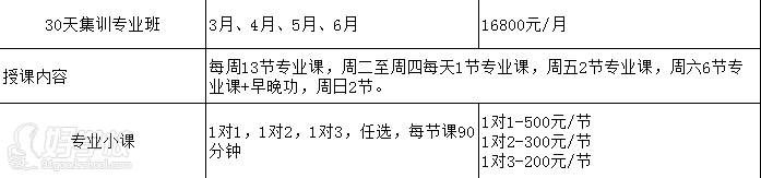 深圳指南針藝考聯(lián)盟  課程設置