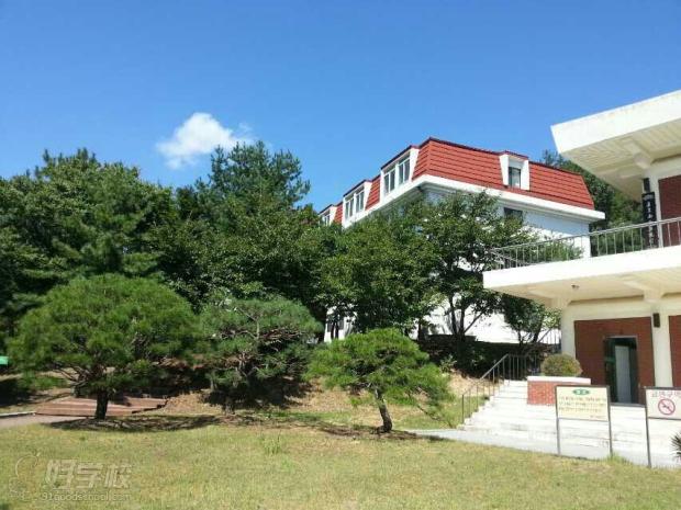 韩国东国大学美丽校园环境