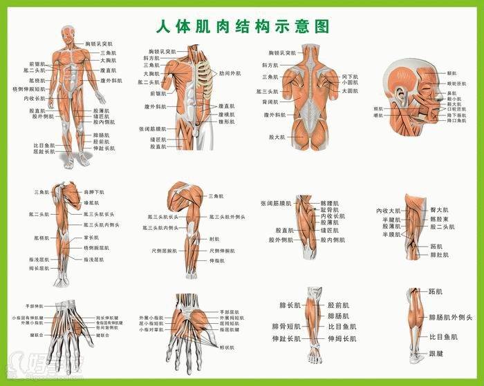 学思教育集团健身教练员考证