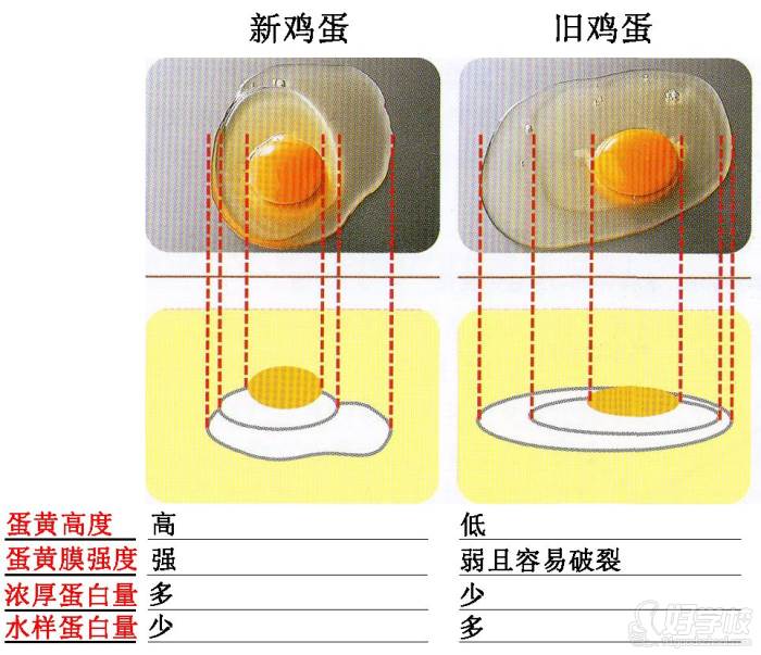 雞蛋分辨