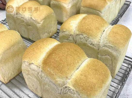 桂林匠心烘焙学校  吐司面包