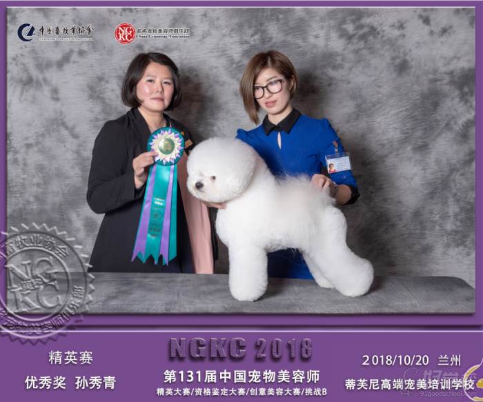 第131届中国宠物美容师精英赛优秀奖