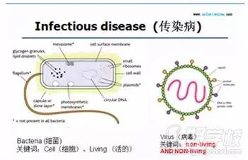 大連英領國際學校 直播內容