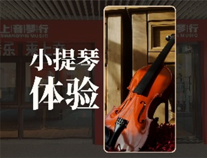 上海小提琴儿童1对1体验课
