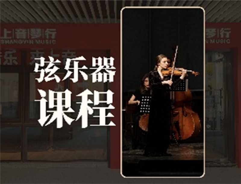 上海弦乐器1对1体验课