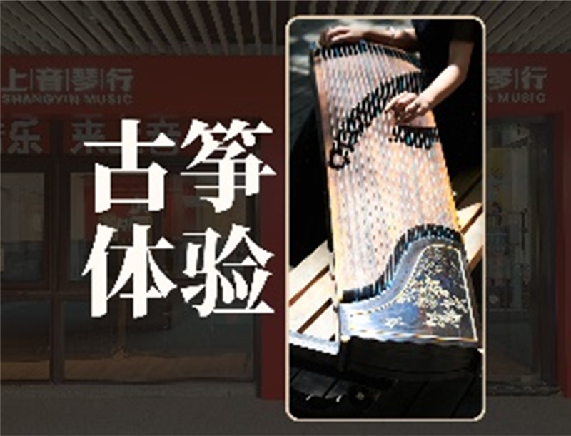 上海成人古筝1对1体验课