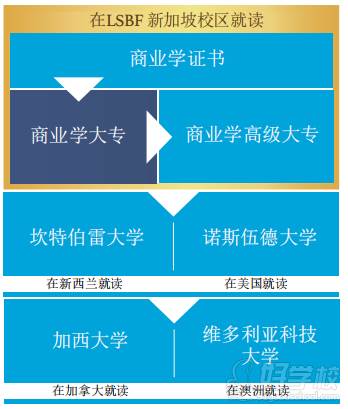 新加波启程国际教育  深造之路