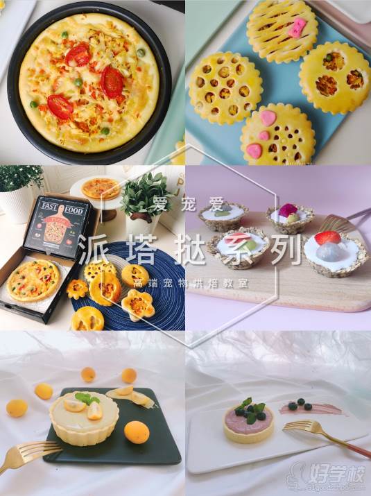 南京爱宠爱高端宠物烘焙教室  学员作品-派塔挞系列课程