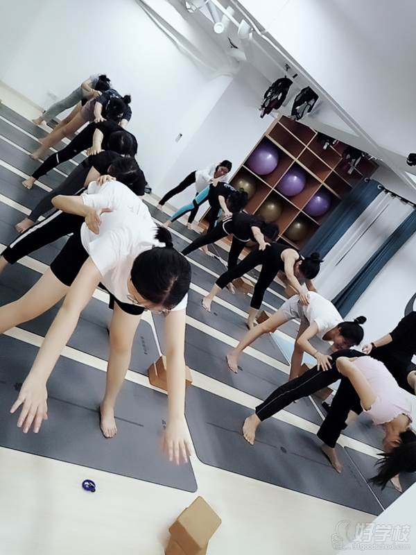 广州盈善瑜伽学院 日常训练