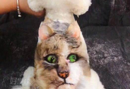 台州哈利吖吖国际宠物美容师培训学校 教学造型一