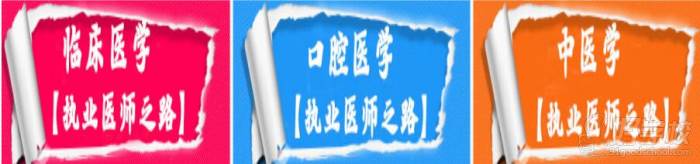 专业 专业