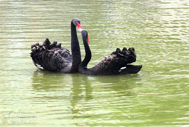 上?？履Ｋ紝W(xué)校周邊徐家匯公園