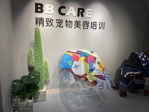 成都BB CARE精致寵物美容培訓學校 