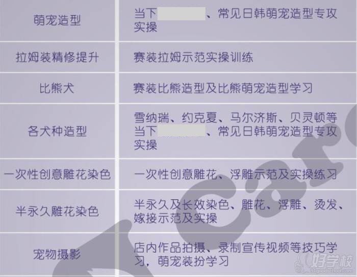 成都BB CARE精致宠物美容培训学校 上课内容