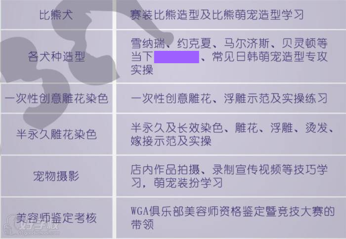 成都BB CARE精致寵物美容培訓(xùn)學(xué)校 培訓(xùn)內(nèi)容