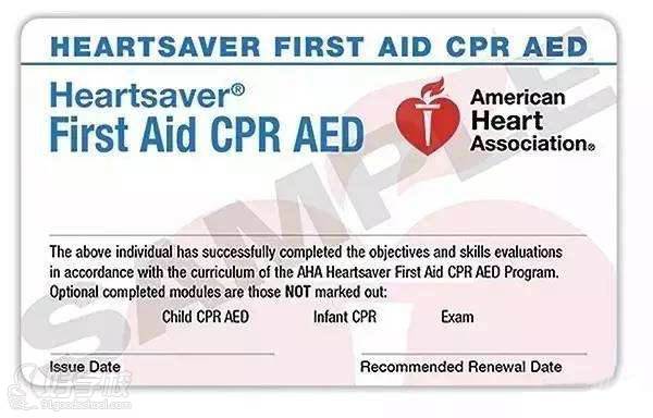AHA美国心脏协会国际急救员证书