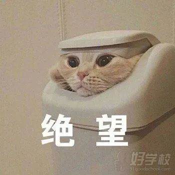 表情包