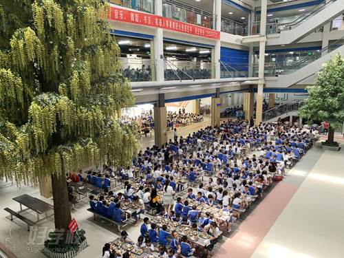 深圳美中教育培训学院 食堂