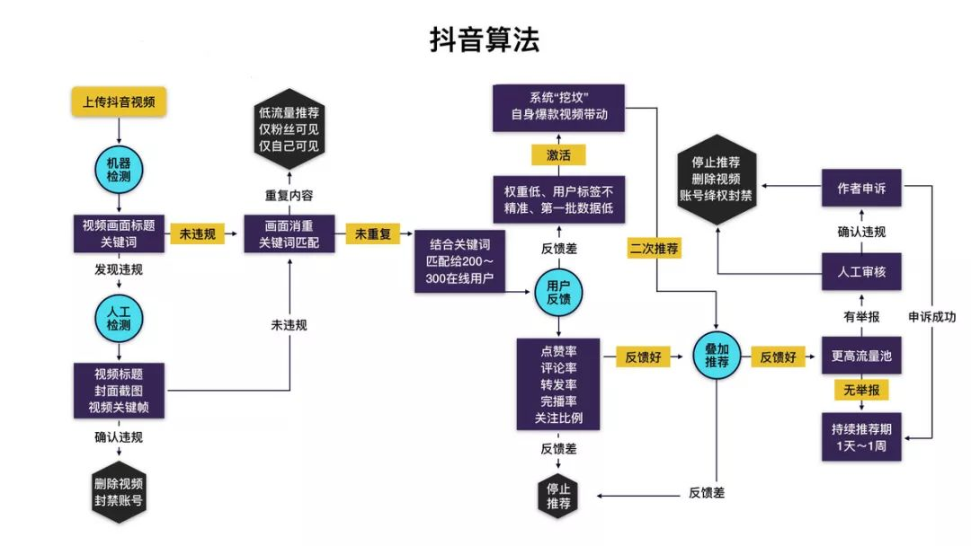 抖音算法