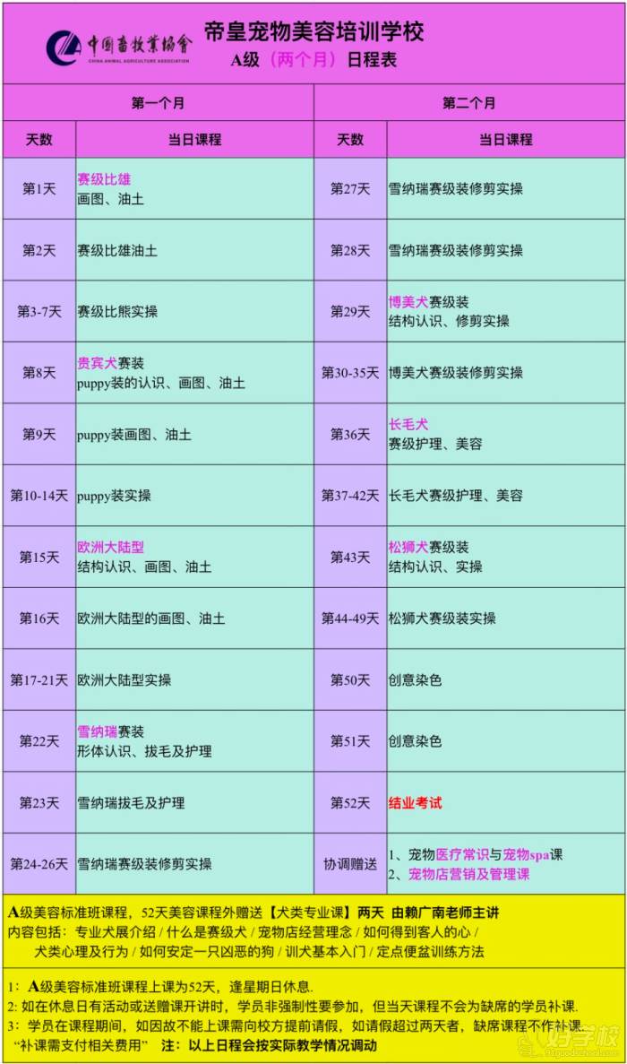 美容A级课程内容