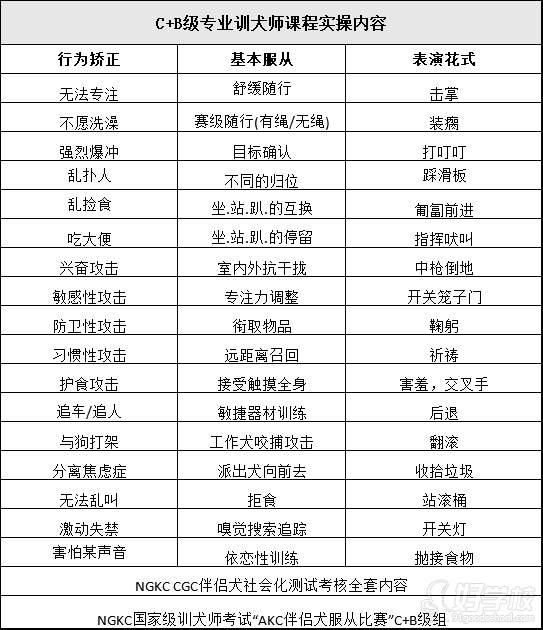 课程内容