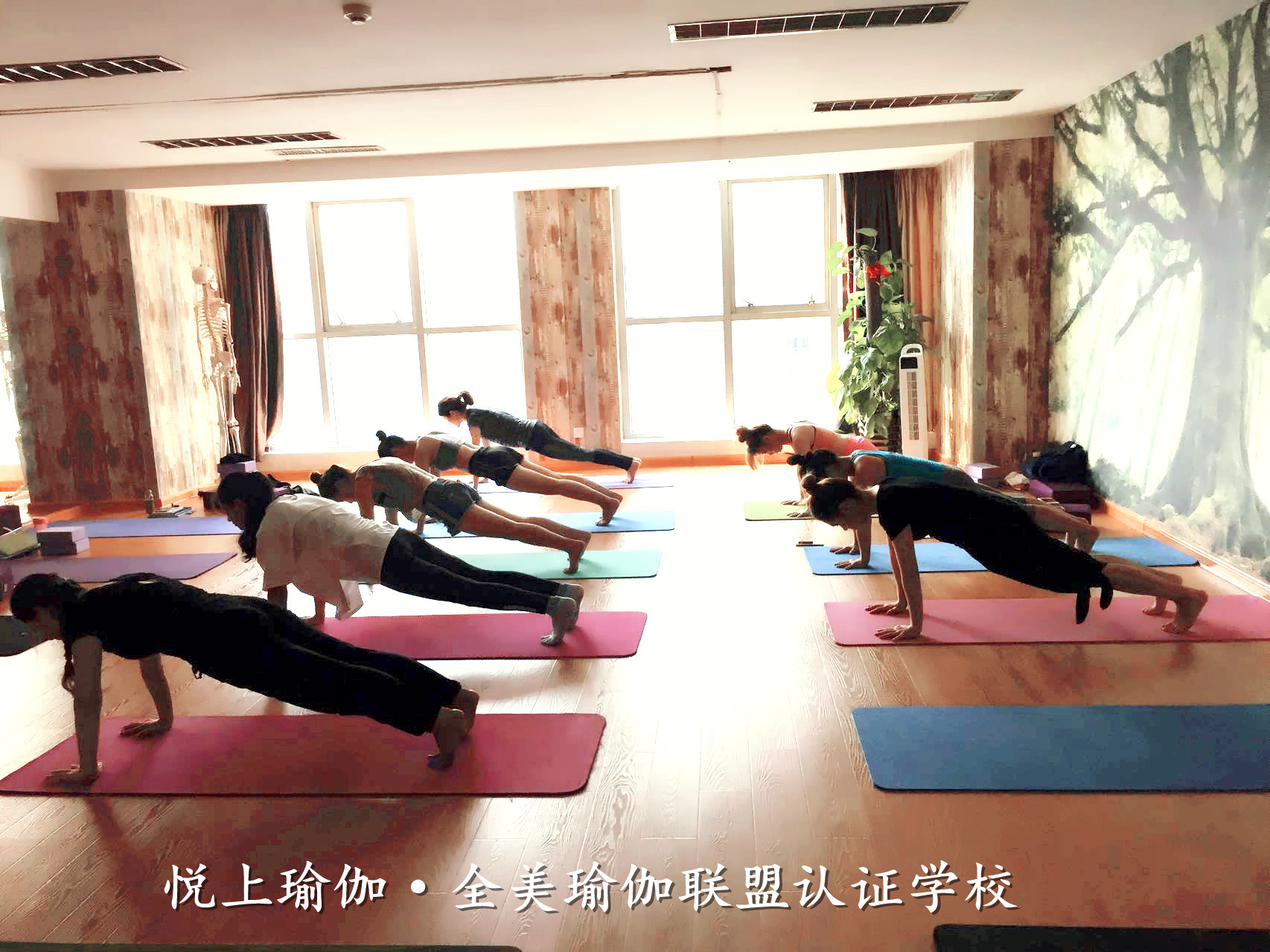 福州零基础瑜伽教练培训