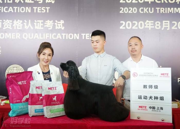 cku运动犬种组教师级