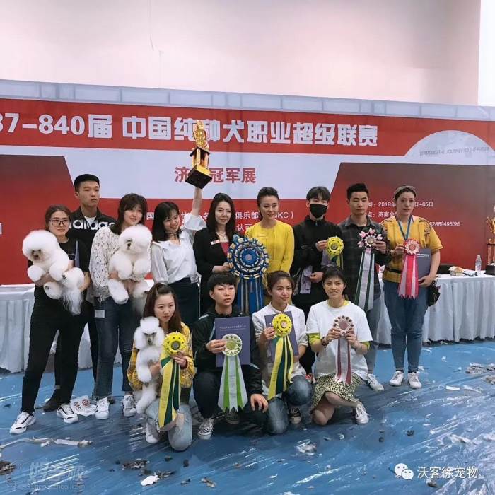 中国纯种犬职业超级联赛济南冠 军展风采