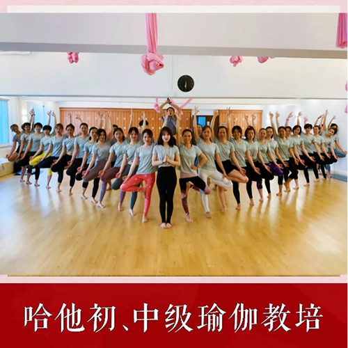 上海哈他瑜伽初中级200TTC培训班