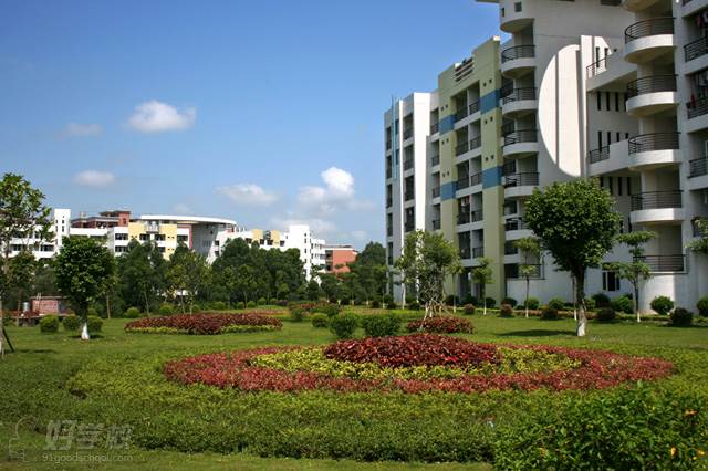 学校环境 学校环境