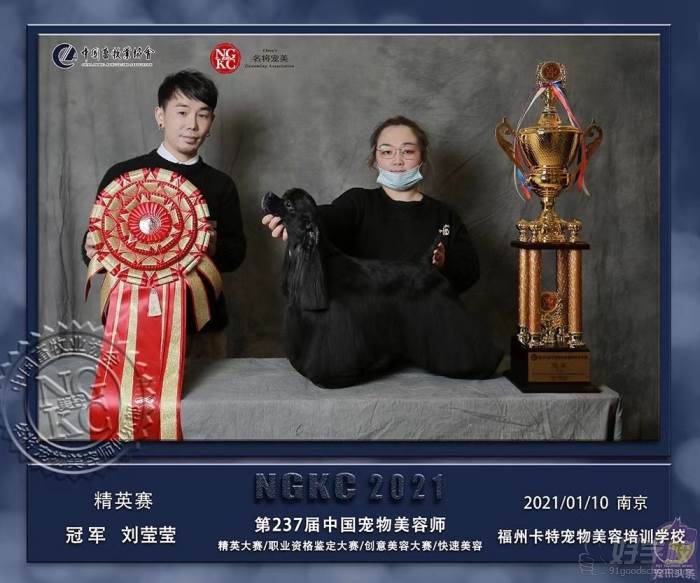 第237届中国宠物美容师精英赛冠 军刘莹莹（大猫）老师