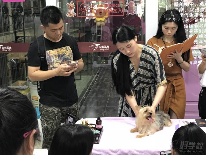 北京汪伦宠物SPA培训学校之学员风采展示3