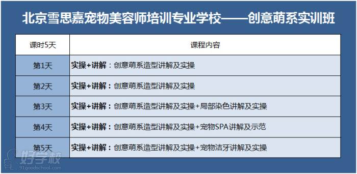 创意萌宠班