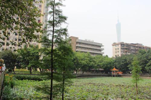 广东第二师范大学成人高考教育文史专升本学校环境1 广东第二师范大学成人高考教育文史专升本学校环境1