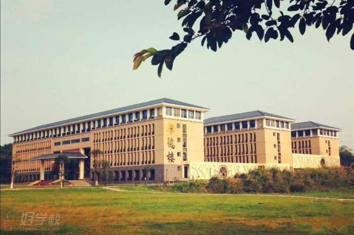 广东财经大学成人高考经管类专升本学校环境3 广东财经大学成人高考经管类专升本学校环境3