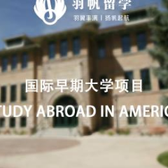 美国国际早期大学本科留学申请