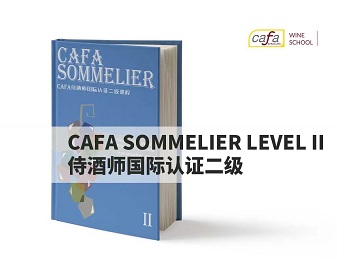 法国CAFA侍酒师国际认证2级课程