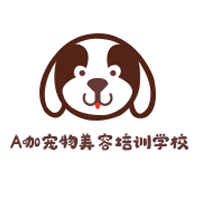 北京A咖宠物美容培训学校