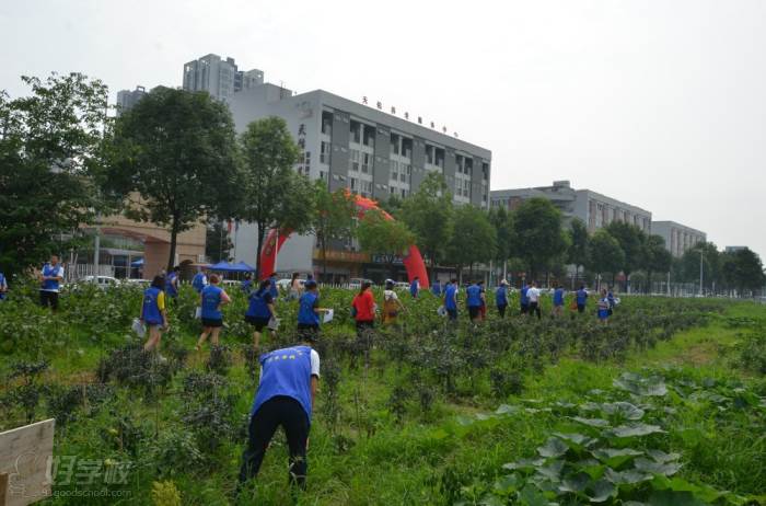 学校农场