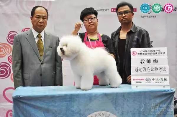 學員犬類剪毛獲獎